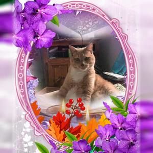 Meet your Posher, Elnora